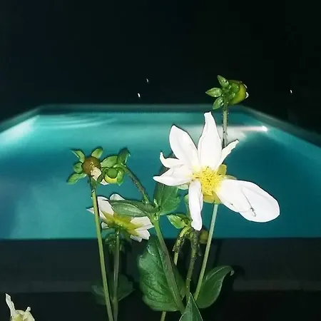 Casa Nova Ferienhaus