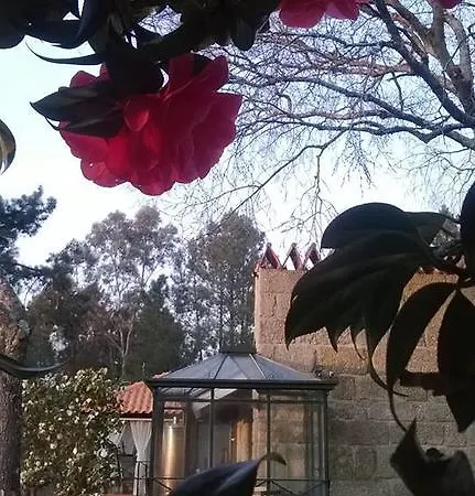 Casa Nova *