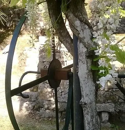 Casa Nova Marco de Canavezes