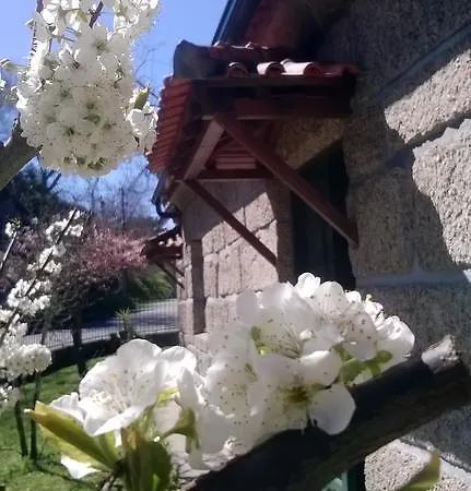 Ferienhaus Casa Nova